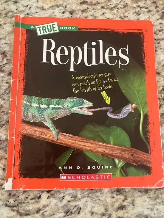 Children’s Book Lot of 3 Dr. Seuss Green Eggs & Ham Junie B Jones Reptiles Book - Picture 2 of 7